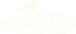 Project Wingman Logo